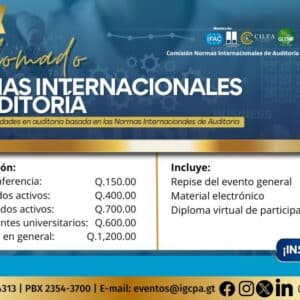 diplomado de normas internacionales de auditoría vol.2