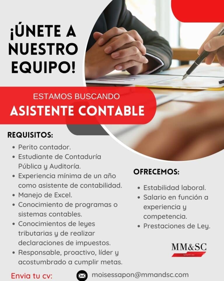 asistente contable