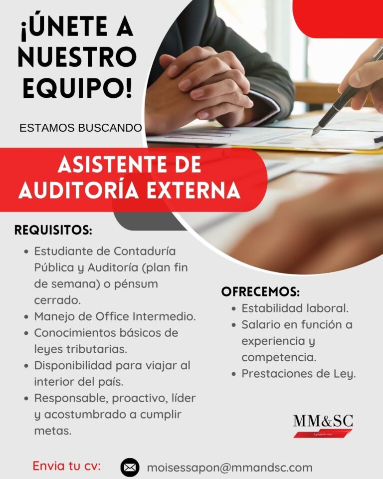 asistente auditoria