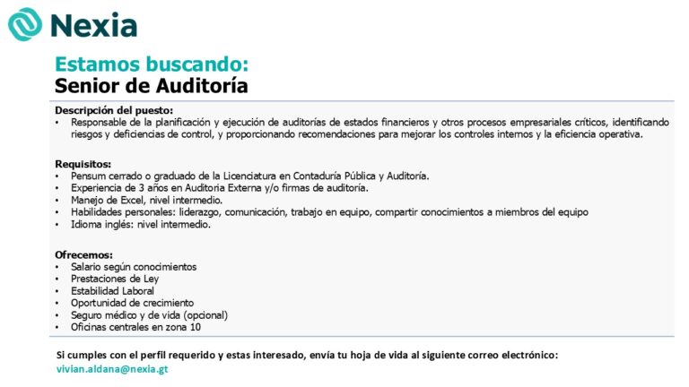senior de auditoria