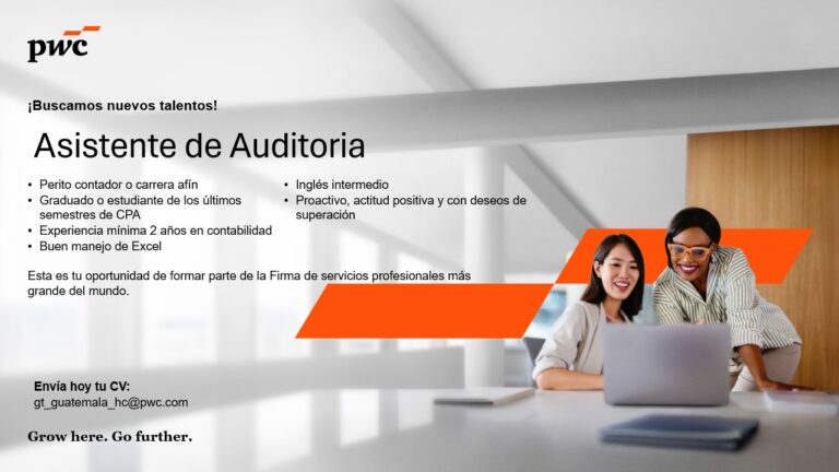 asistente de auditoria