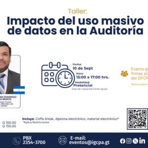 taller: impacto del uso masivo de datos de la auditoría